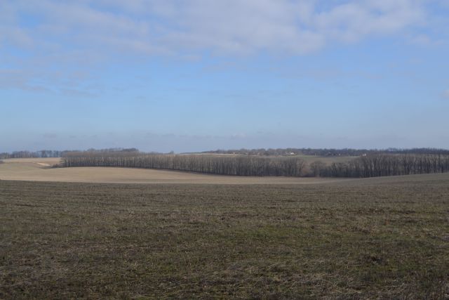 DSC_0806