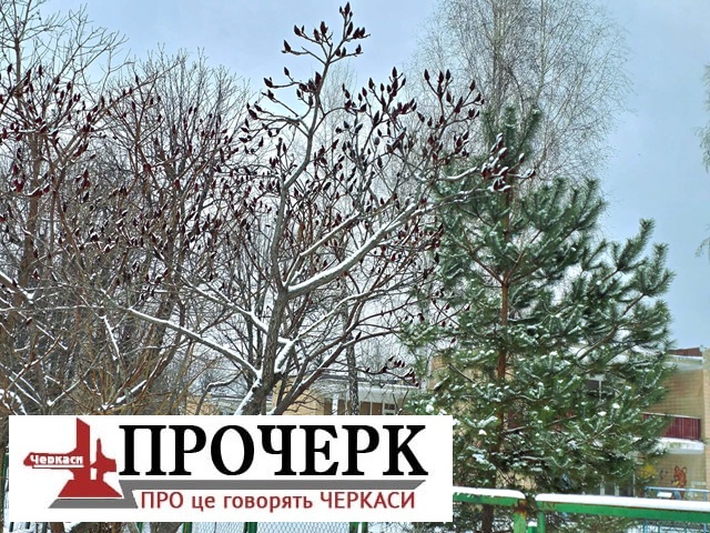 Без назви54
