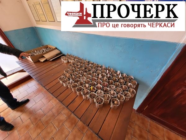 Окопні свічки для захисників в одній з сільрад області Окопні свічки для захисників в одній з сільрад області