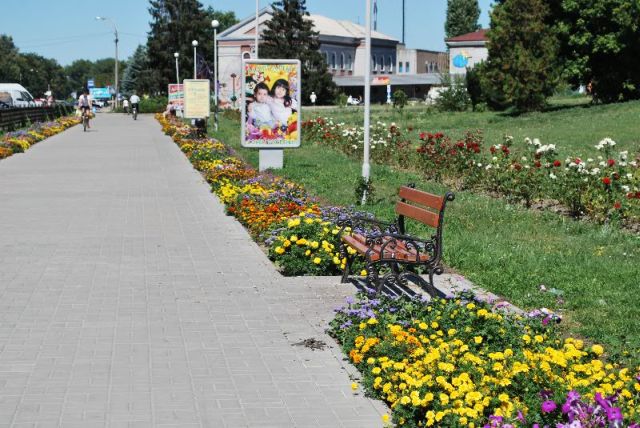 Відродження Золотоноші розпочалося з благоустрою трояндової алеї Відродження Золотоноші розпочалося з благоустрою трояндової алеї