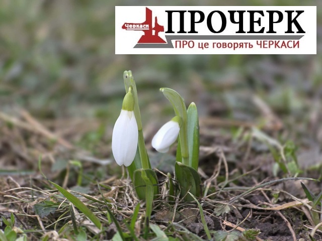 Без назви1