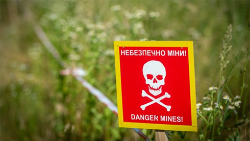 Фото: bin.ua