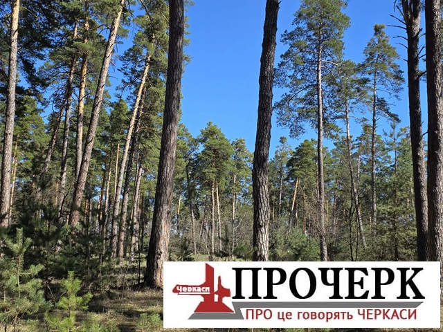 Без назви1