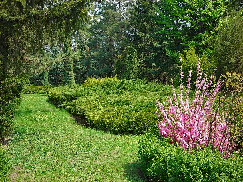 Фото: Mandrivnic Cherkasy