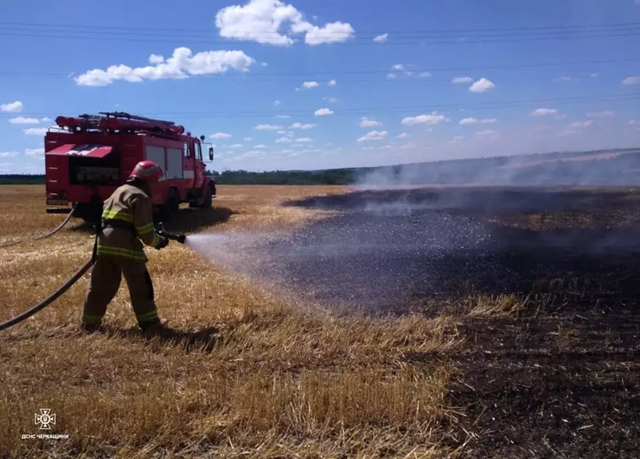 Рятувальники вогонь на площі 0,8 гектара