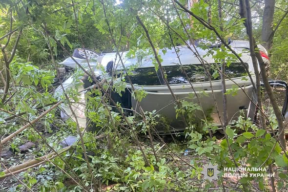 714561497_1482734373897846_6414655024374856408_n
