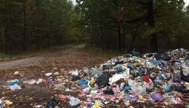 Фото Юлії Дубовик