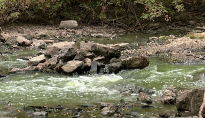 Вода в річці Гнилий Тікич. Суспільне Черкаси