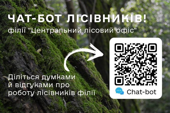 Без назви
