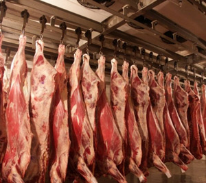 Виробники намагаються купувати худобу у селян за низькими цінами Виробники намагаються купувати худобу у селян за низькими цінами