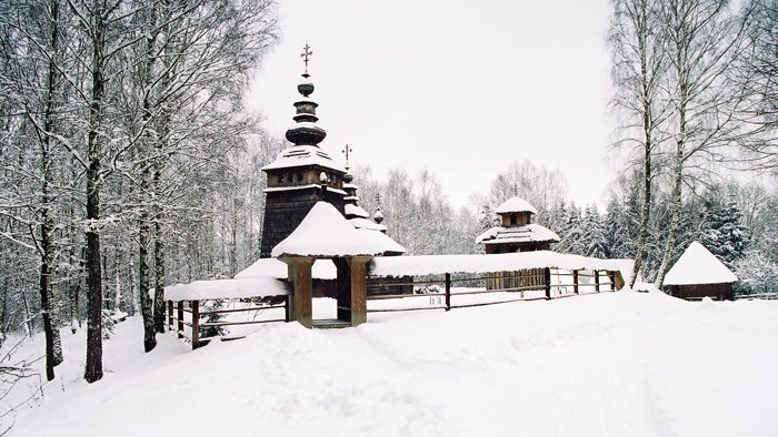 Шевченківський гай взимку (vovsad.blogspot.com) Шевченківський гай взимку (vovsad.blogspot.com)