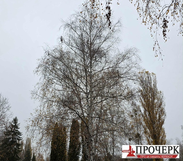 Без назви