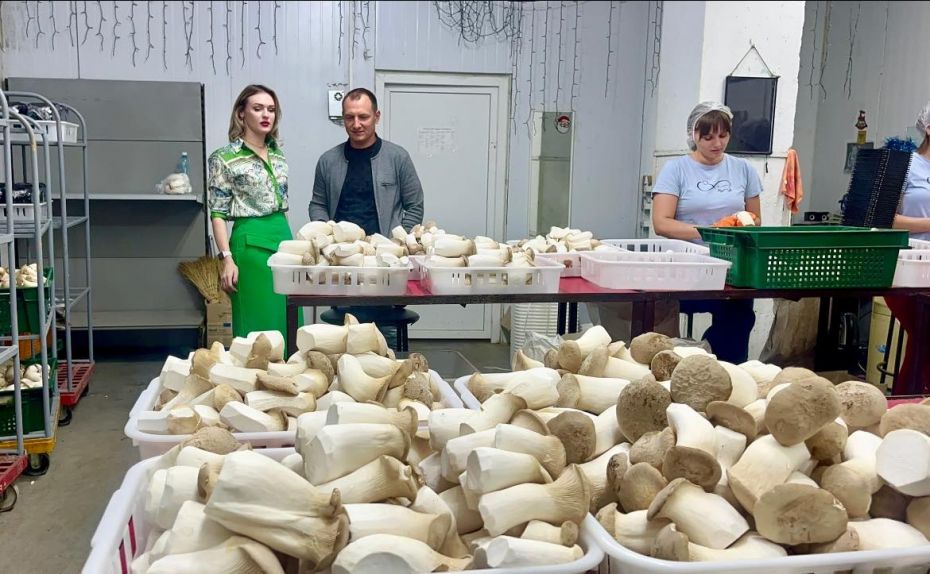начальниця Черкаської РВА Валерія Бандурко відвідала єдине в Україні підприємство, яке вирощує ерінги в таких промислових масштабах. начальниця Черкаської РВА Валерія Бандурко відвідала єдине в Україні підприємство, яке вирощує ерінги в таких промислових масштабах.