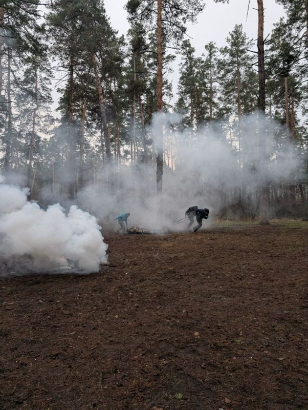 Без назви