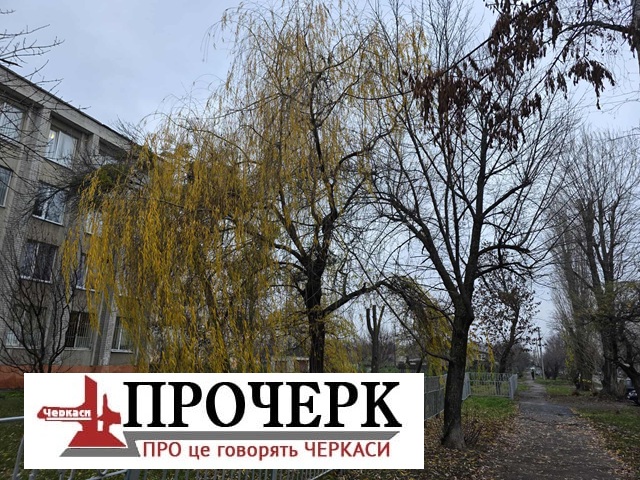 Без назви