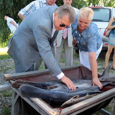 "Я нормальний чоловік, якому притаманне все, що притаманне будь-якому нормальному чоловіку..." "Я нормальний чоловік, якому притаманне все, що притаманне будь-якому нормальному чоловіку..."