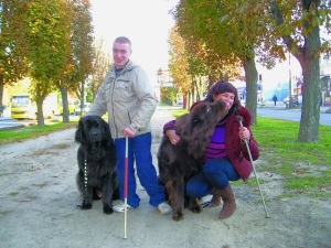 На фото – хворий на ДЦП Роман Огілько з матір'ю та двома ньюфаундлендами – Касею і Річардом. Кася навчила хлопця ходити, завжди супроводжує його на вулиці На фото – хворий на ДЦП Роман Огілько з матір'ю та двома ньюфаундлендами – Касею і Річардом. Кася навчила хлопця ходити, завжди супроводжує його на вулиці
