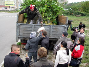 Активісти отримують саджанці... Активісти отримують саджанці...