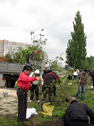 Робота кипить... Робота кипить...