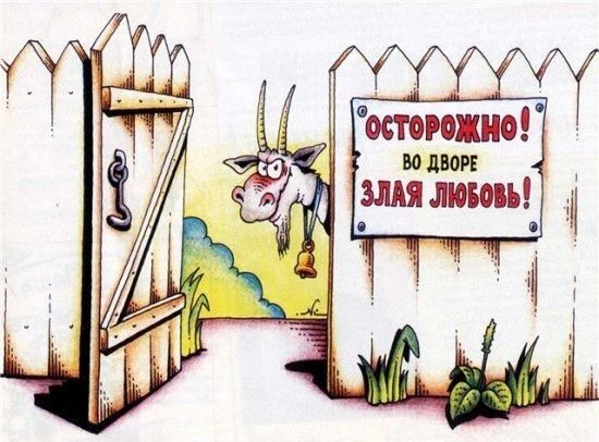 У Городищенському районні – конкретна політична любов У Городищенському районні – конкретна політична любов