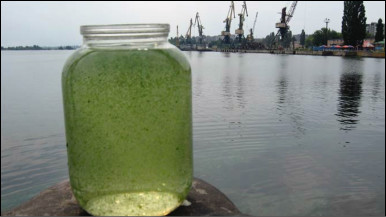 Вода "цвіте" у Дніпрі, бо тепла... Вода "цвіте" у Дніпрі, бо тепла...